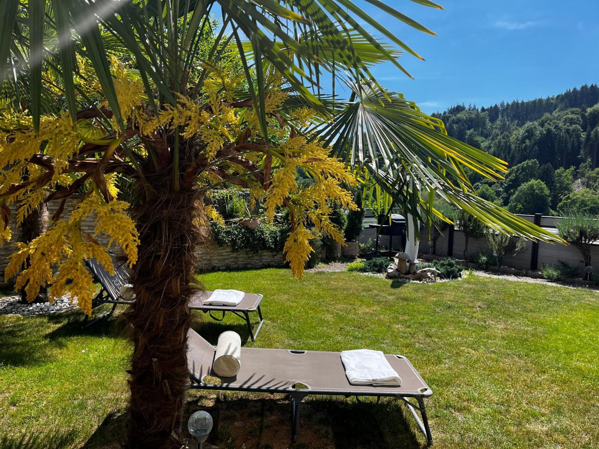 Wellness Fewo Szymecki Schonau (Rhein-Neckar-Kreis) Exterior foto